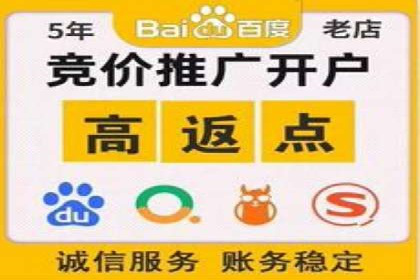 关键词竞价排名策略案例分析